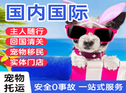 毕节飞雄航空快运国际宠物托运 【国